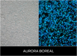 Luminous - Aurora Boreal
