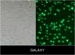 Luminous - Galaxy