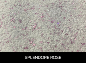 Splendore Rose