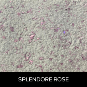 Splendore Rose
